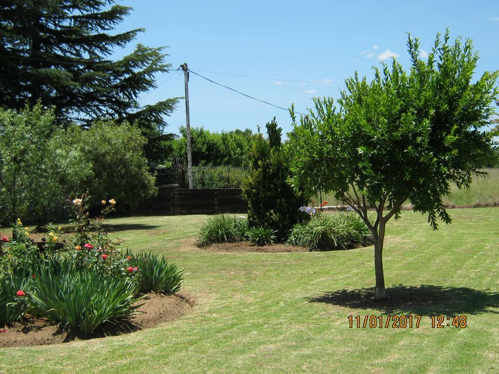 Grace Country Retreat Memel Exterior foto